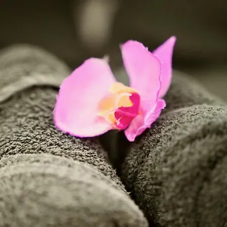 Mas La Farelle Gite, Fitness & Salle De Jeux Gratuite & En Supplement *