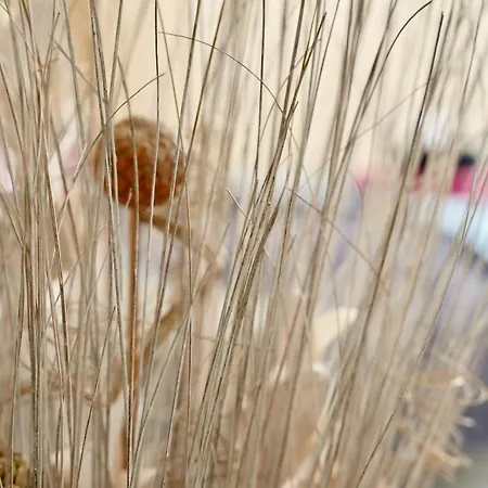 Mas La Farelle Gite, Fitness & Salle De Jeux Gratuite & En Supplement 度假居