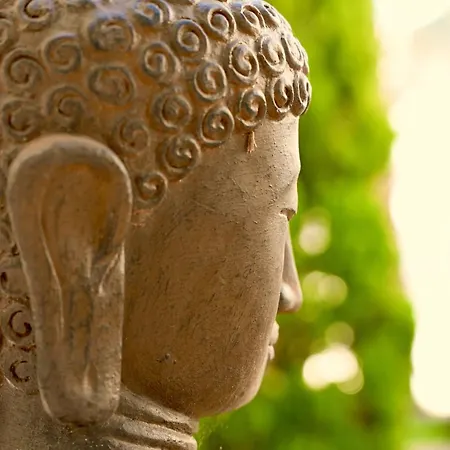 Mas La Farelle Gite, Fitness & Salle De Jeux Gratuite & En Supplement * 尼姆