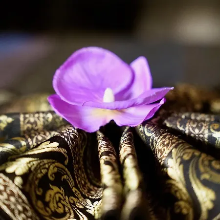 度假居 Mas La Farelle Gite, Fitness & Salle De Jeux Gratuite & En Supplement *