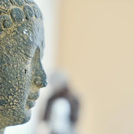 Mas La Farelle Gite, Fitness & Salle De Jeux Gratuite & En Supplement 度假居