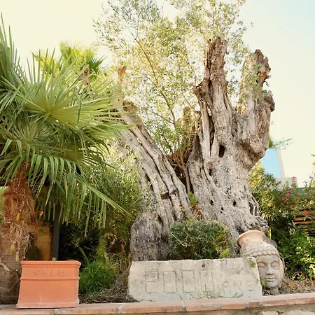 Mas La Farelle Gite, Fitness & Salle De Jeux Gratuite & En Supplement *