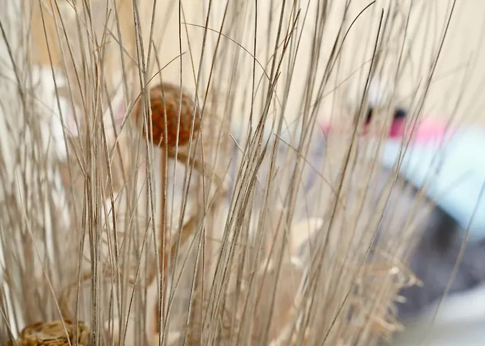 Mas La Farelle Gite, Fitness & Salle De Jeux Gratuite & En Supplement Дом отдыха