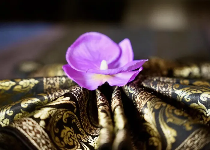 Дом отдыха Mas La Farelle Gite, Fitness & Salle De Jeux Gratuite & En Supplement *