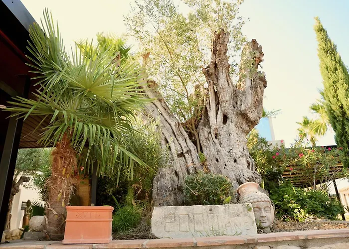 Mas La Farelle Gite, Fitness & Salle De Jeux Gratuite & En Supplement *