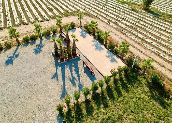 Mas La Farelle Gite, Fitness & Salle De Jeux Gratuite & En Supplement Дом отдыха *